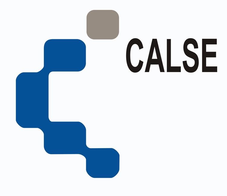 Logo Estructuras Calse S.L.